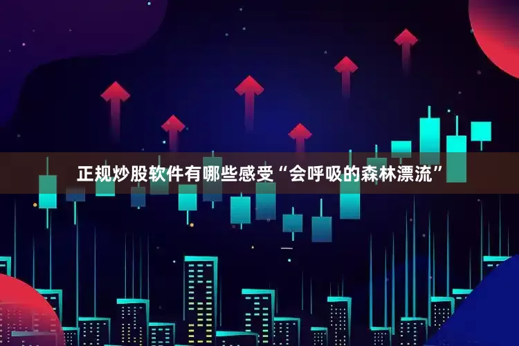 正规炒股软件有哪些感受“会呼吸的森林漂流”