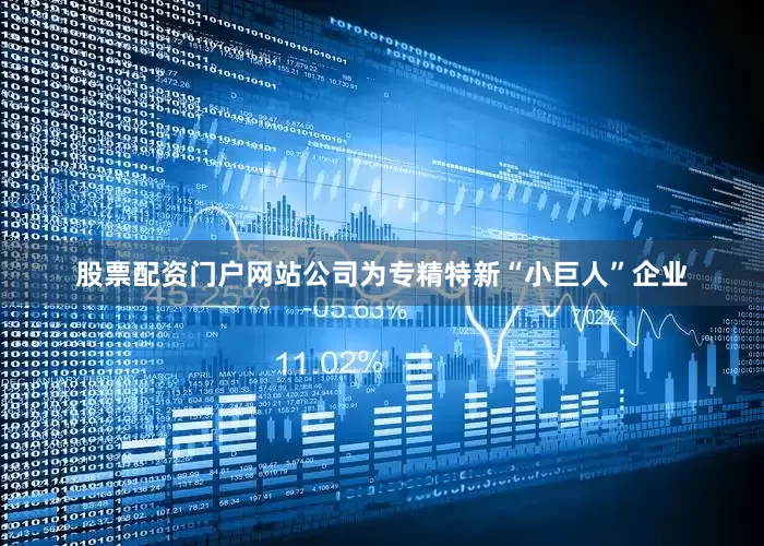 股票配资门户网站公司为专精特新“小巨人”企业